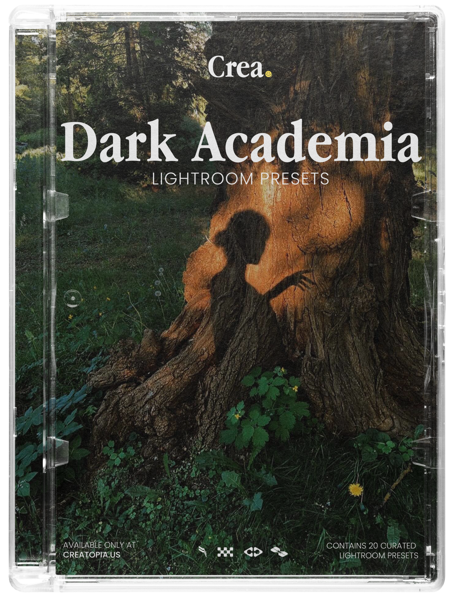 Dark Academia Lightroom Presets